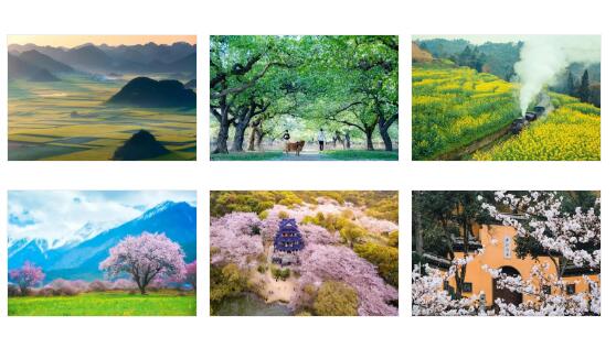 這些手機拍攝技巧不能忽視 出片率100%