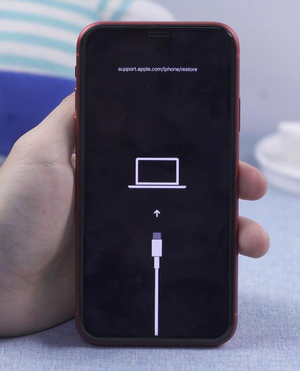 蘋果手機密碼忘了怎么解鎖-第四步